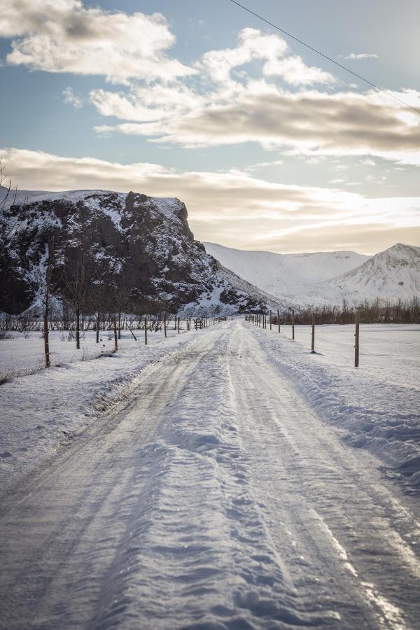 Rauthuskrithur Farm Holmabaeir Bagian luar foto