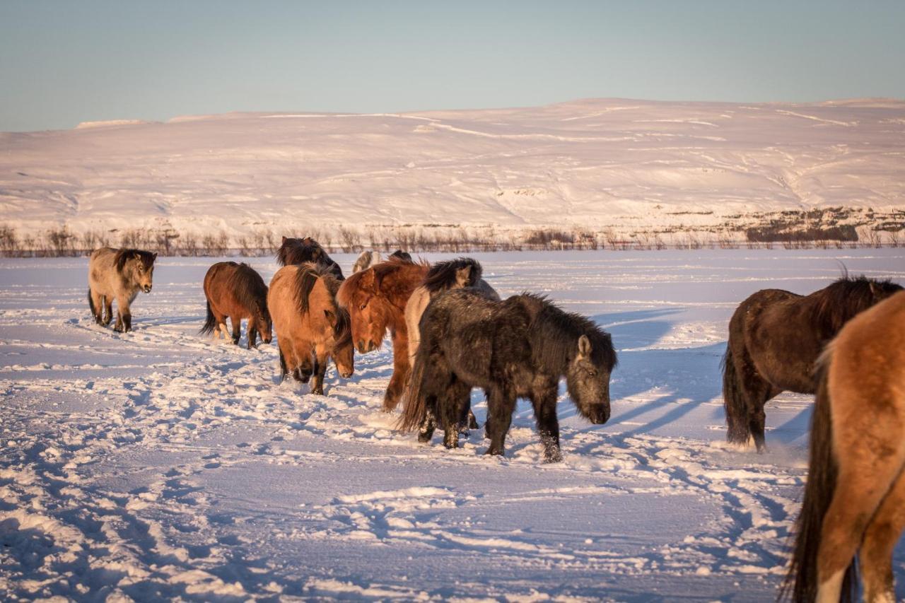 Rauthuskrithur Farm Holmabaeir Bagian luar foto