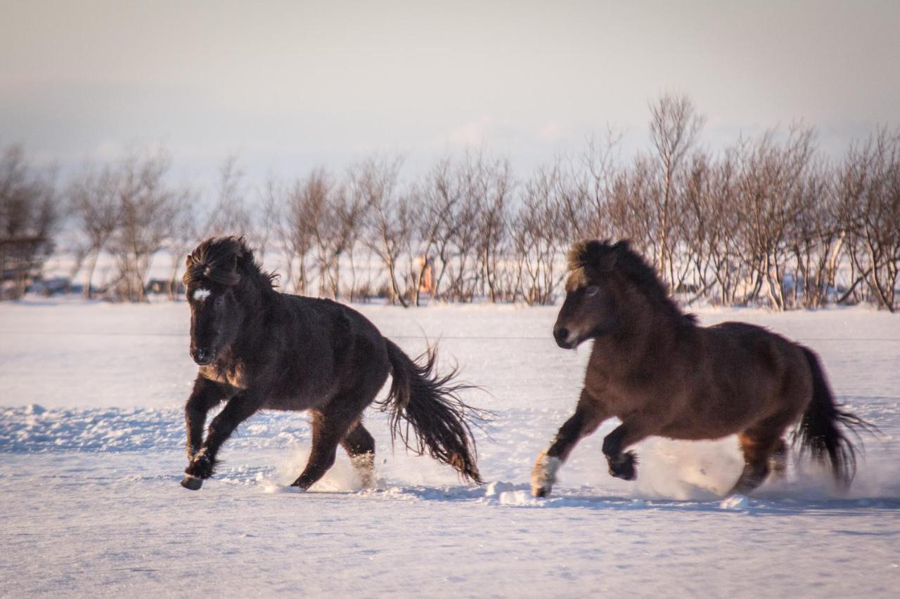 Rauthuskrithur Farm Holmabaeir Bagian luar foto