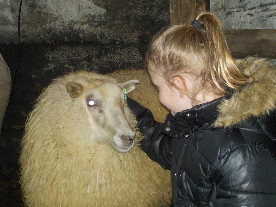 Rauthuskrithur Farm Holmabaeir Bagian luar foto